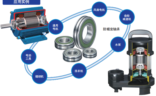 WPS图片(1)